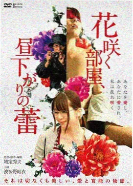 迷雾之城 免费电影在线观看